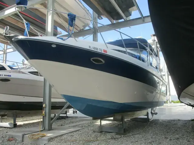 Bayliner 31