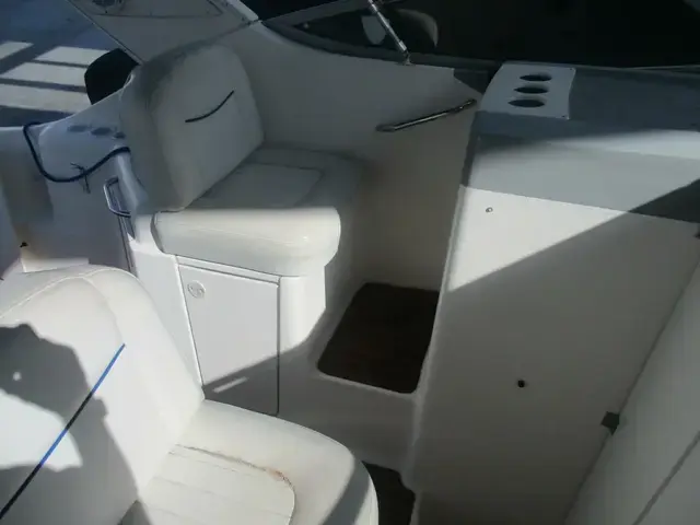 Bayliner 31