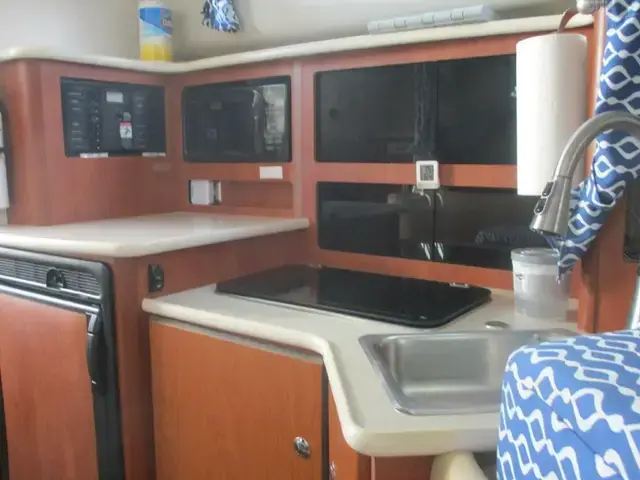 Bayliner 31