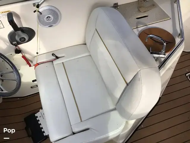 Rinker 270 Fiesta Vee