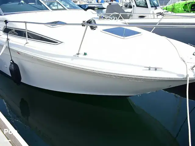 Sea Ray 270 Sundancer