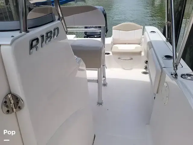 Robalo R180