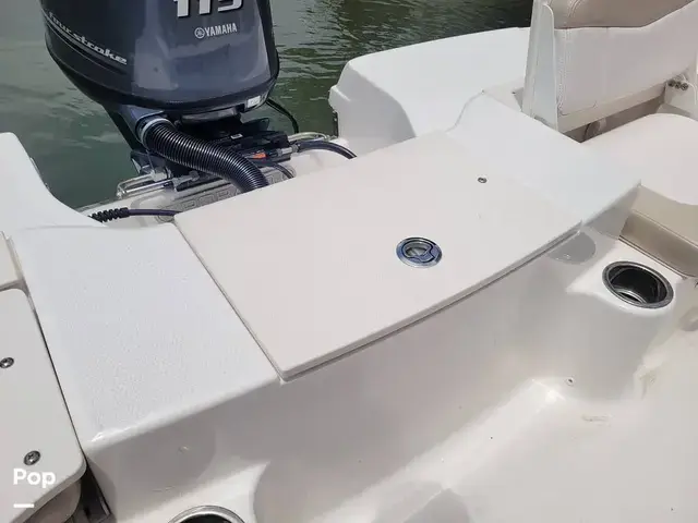 Robalo R180