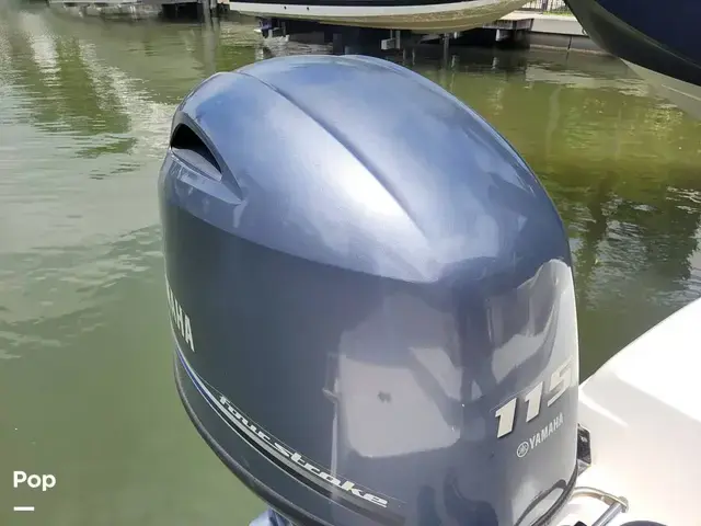 Robalo R180