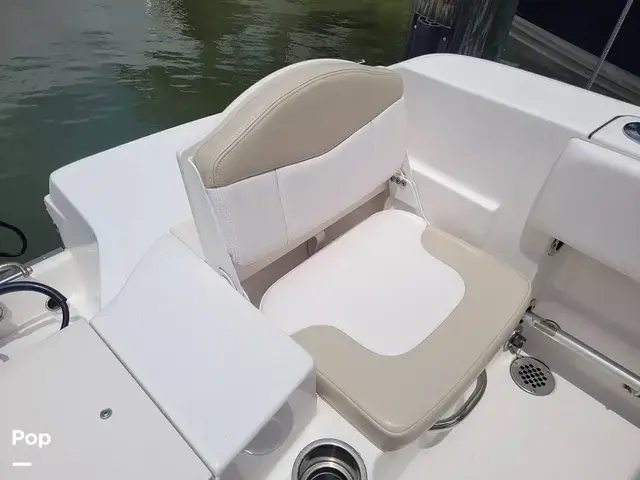 Robalo R180