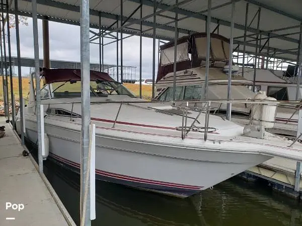 1990 Sea Ray sundancer 310