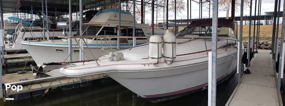 1990 Sea Ray sundancer 310