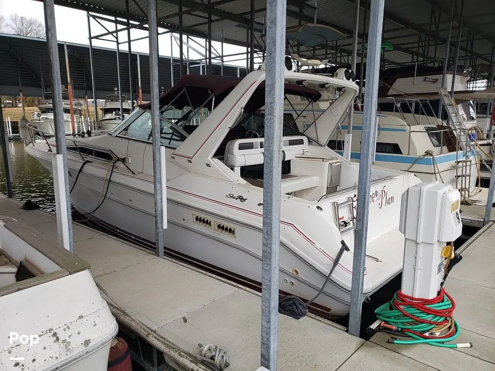 1990 Sea Ray sundancer 310