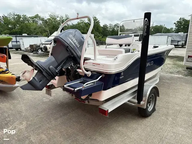 Robalo R160