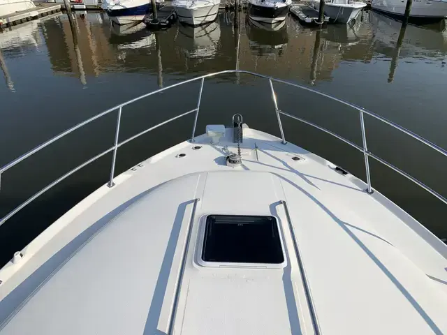 Sea Ray 400 Sundancer