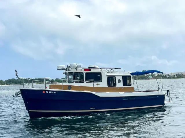 Ranger Tugs 31'