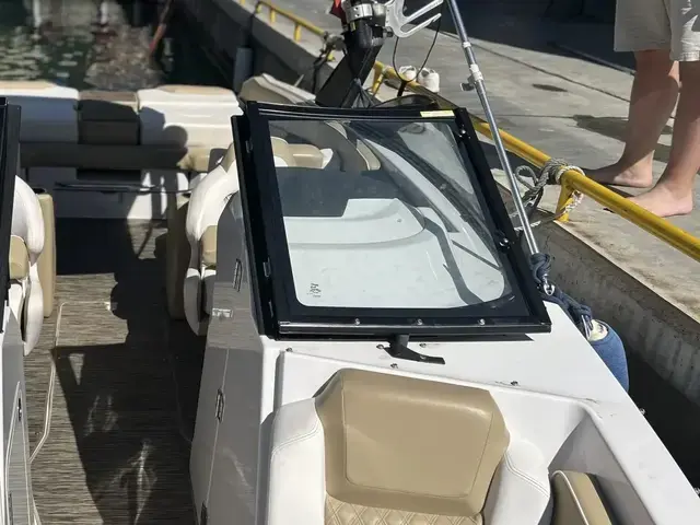 Scarab 255 Platinum Se