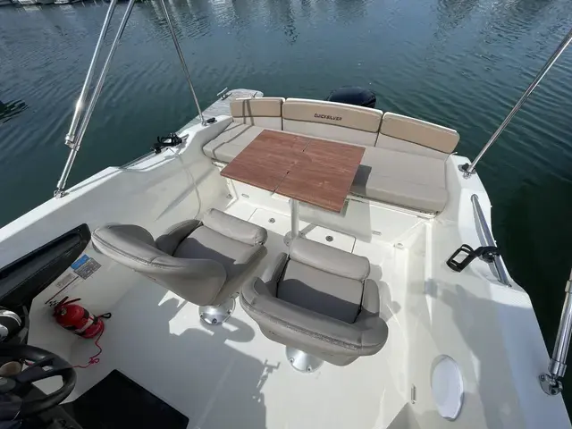 Quicksilver Activ 555 Cabin