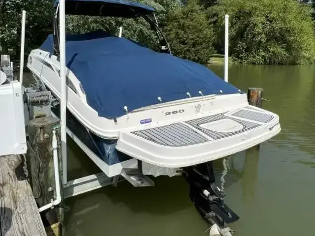 Sea Ray 260 Sundeck