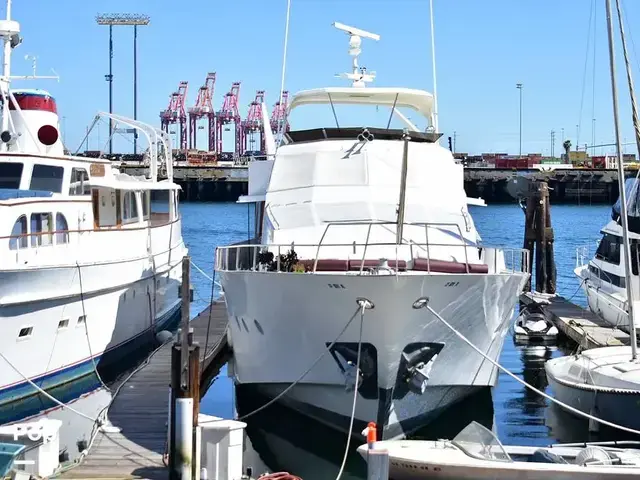 Benetti 100