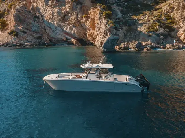 Invincible 37 Catamaran