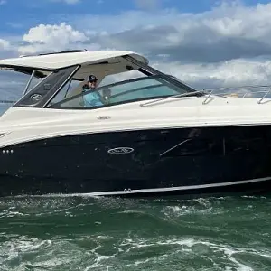 2019 Sea Ray Sundancer 320