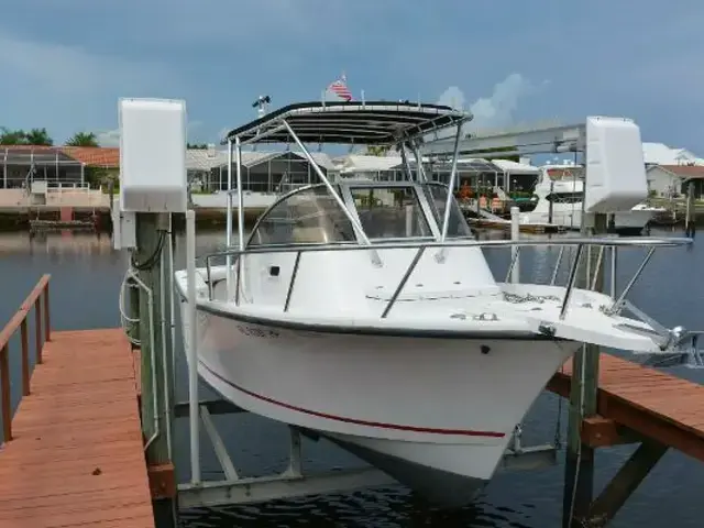 Shamrock Boats 220 Walkaround