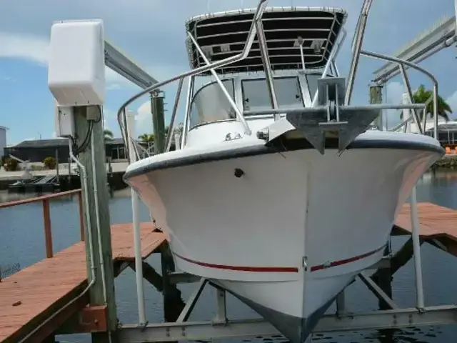 Shamrock Boats 220 Walkaround