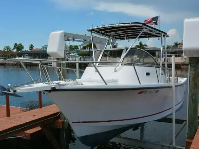 Shamrock Boats 220 Walkaround