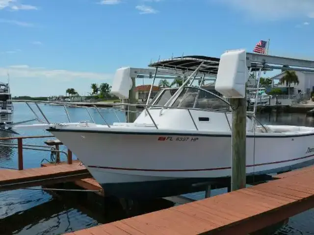 Shamrock Boats 220 Walkaround