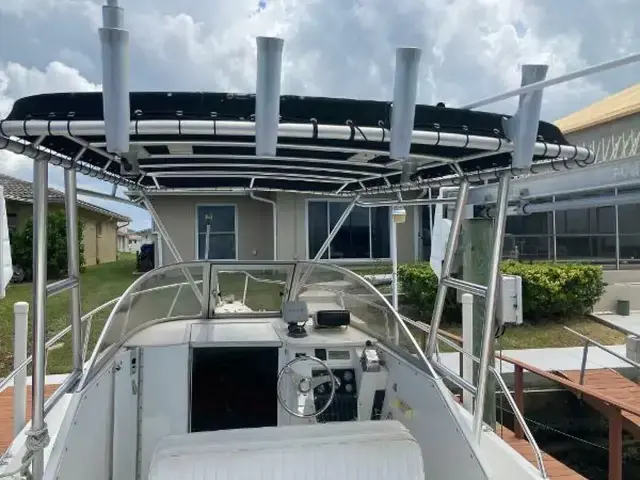 Shamrock Boats 220 Walkaround