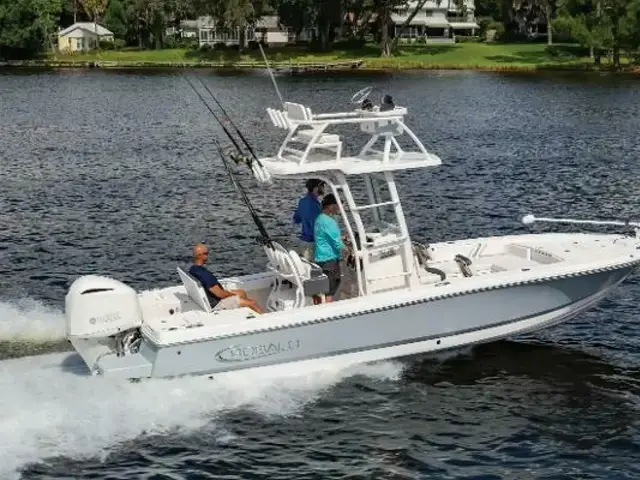 Robalo 246 Cayman SD