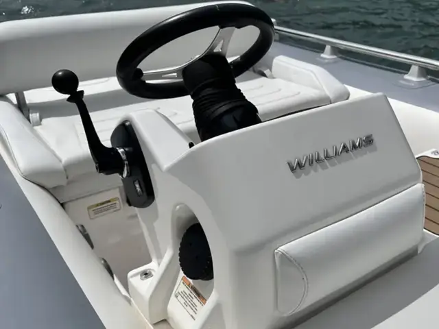 Williams Jet Tenders Sportjet 395