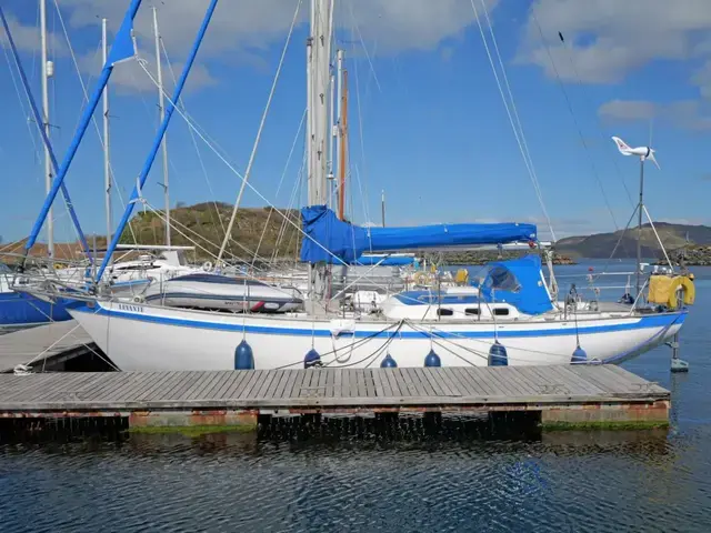 Tradewind 35