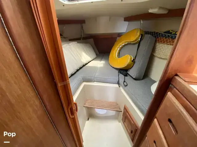 Catalina 30