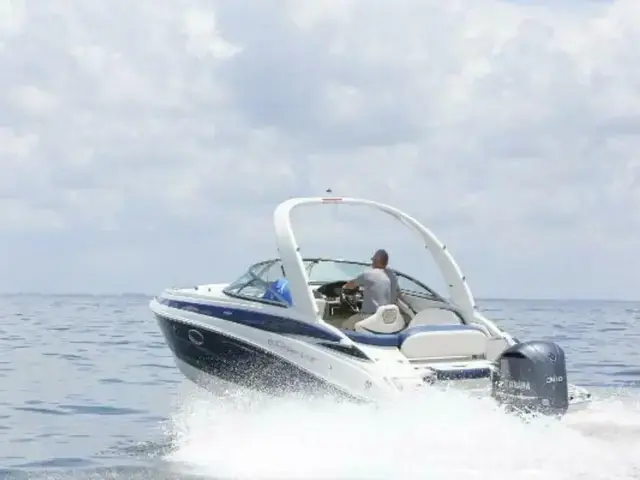 Crownline 270 XSS