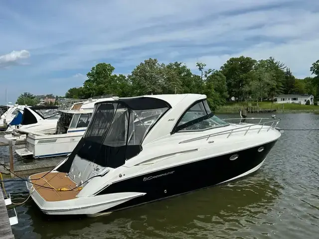 Crownline 350 SY