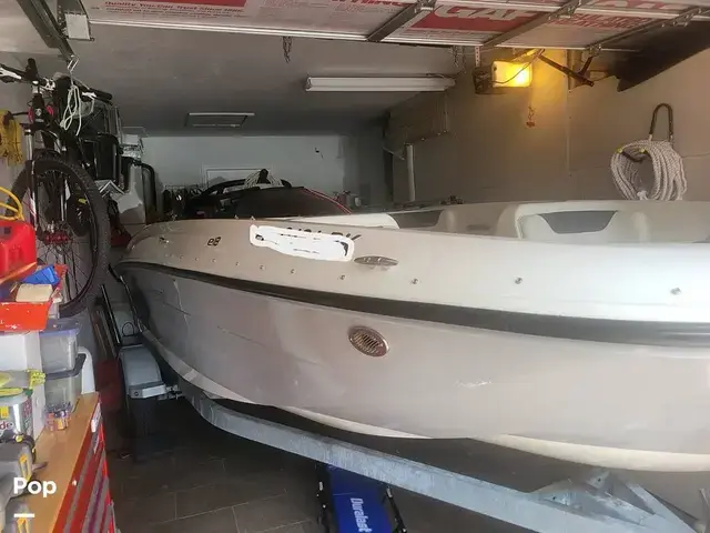 Bayliner Element E18