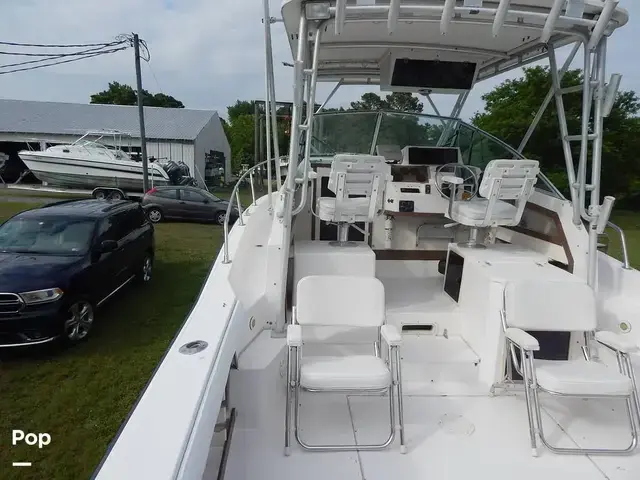 Grady White 300 Marlin