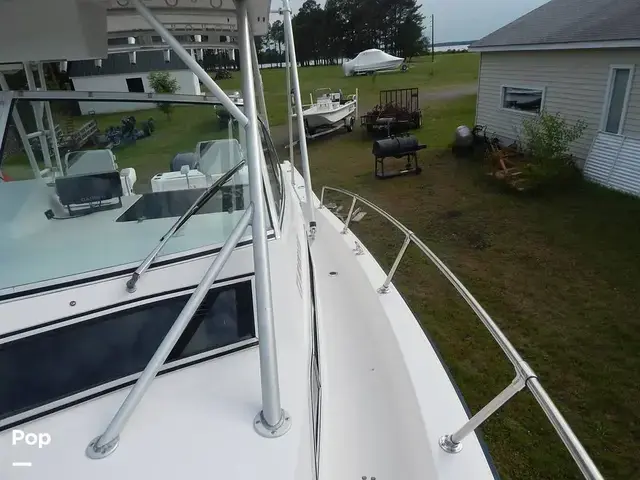 Grady White 300 Marlin