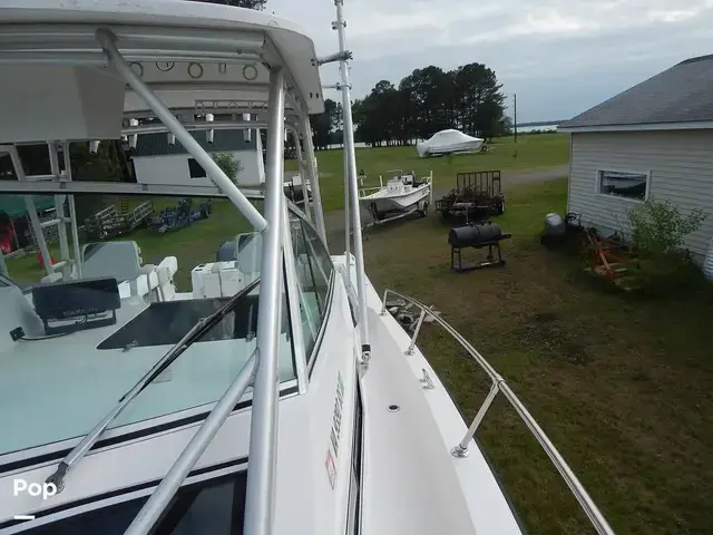 Grady White 300 Marlin