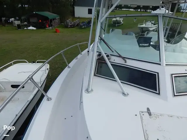 Grady White 300 Marlin