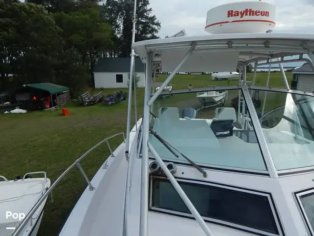 Grady White 300 Marlin