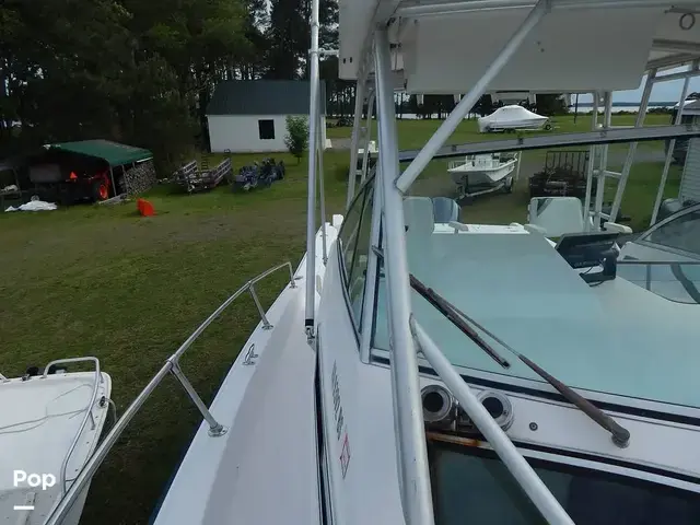 Grady White 300 Marlin