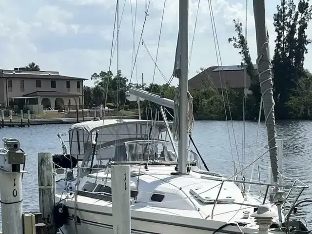 Catalina 350