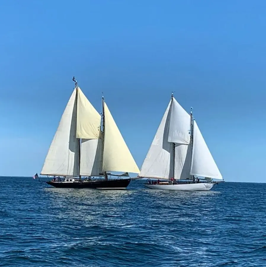 2001 Gannon & Benjamin 75' schooner