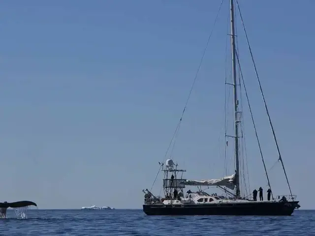 BLONDECELL, FREEWARD MARINE Simon Rogers Cutter Rigged One Design