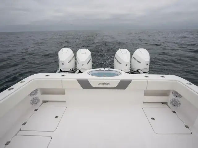 Invincible Boats 35 Catamaran