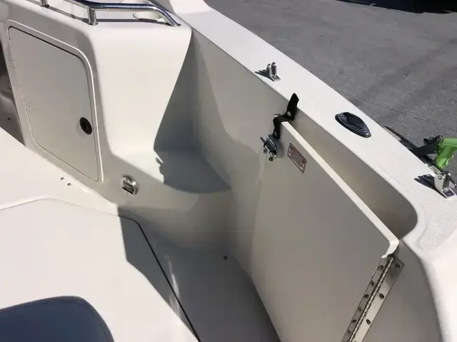 Sea Ray 240 Sundancer