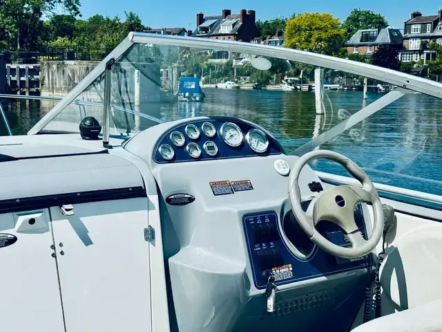 Bayliner 245