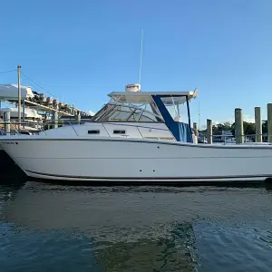 2000 Shamrock Boats 290 Walkaround