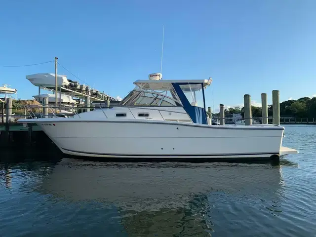 Shamrock Boats 290 Walkaround