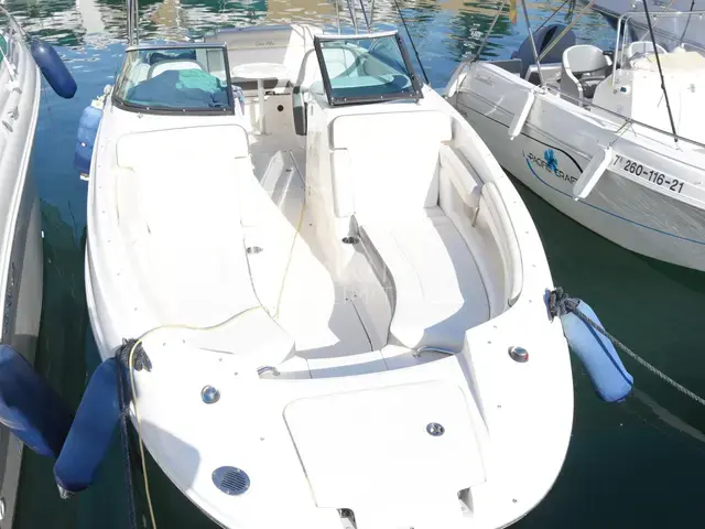 Sea Ray 260 Sundeck