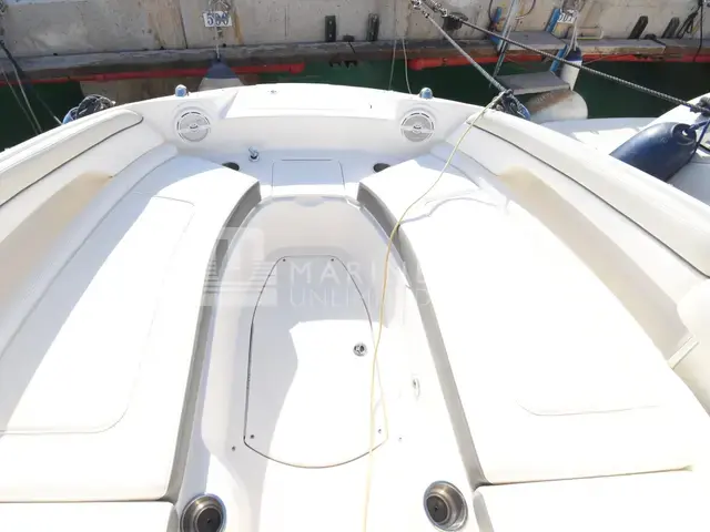 Sea Ray 260 Sundeck