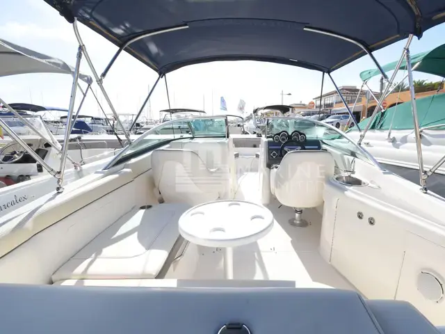 Sea Ray 260 Sundeck